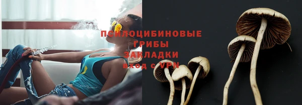 сатива Балахна