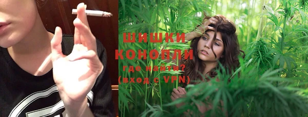 сатива Балахна