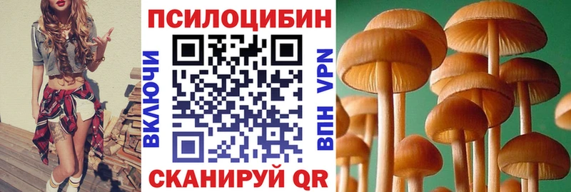 блэк спрут ссылки  Мурманск  Галлюциногенные грибы Cubensis 